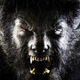 Illustration for article titled Check out the emWolfman/em trailer